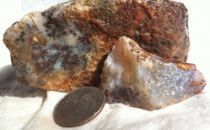 Plume Agate from the South Larremore Ranch